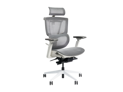 ergo chair pro 2-4.png